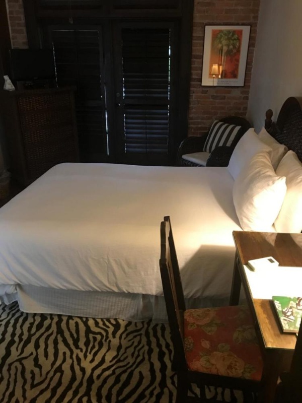 Park Plaza Hotel Orlando - Winter Park image 6
